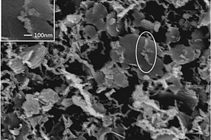 改性纳米铁炭复合材料及其应用