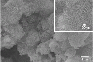 氧化镁/稀土氧化物核壳结构花状纳米复合材料的制备方法