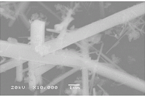 硫/聚苯胺纳米管/还原氧化石墨烯复合材料及其制备方法和应用