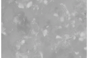 脱细胞基质纤维骨复合材料及其制备方法