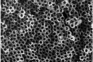 钛基底表面纳米管负载贵金属纳米颗粒复合材料及其制备方法