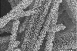 三氧化钼@二硫化钼核壳异质结构的纳米复合材料、制备方法及其应用