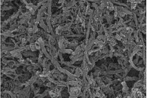 涂覆单质铜的多壁碳纳米管增强铝基复合材料的制备方法