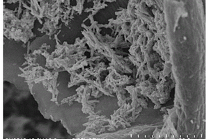 硒化钴-硒化钼空心纳米管/还原氧化石墨烯气凝胶复合材料及其制备方法和应用