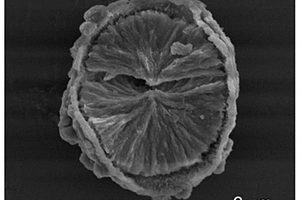 核壳型硫化铟微米球负载硫的复合材料制备方法及其锂硫电池