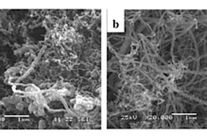 原位生长有碳纳米管的碳化硅纤维立体织物及其复合材料及制备方法