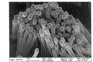 高分子-C60一维纳米复合材料及其制备方法