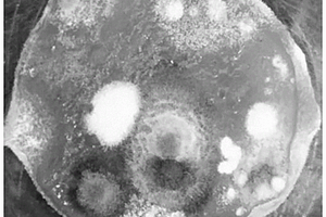 稀土/ClO<Sub>2</Sub>复合材料及其制备方法