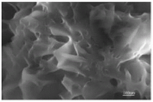 十六胺三维石墨烯复合材料制备方法和应用