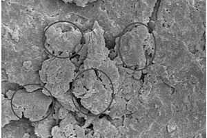 功能化β环糊精改性氧化石墨烯复合材料的制备方法