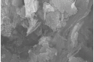 三明治结构的包覆氮掺杂石墨烯复合材料及其制备方法和应用