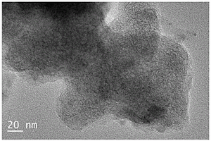 二维过渡金属硫族化合物-碳复合材料的制备方法