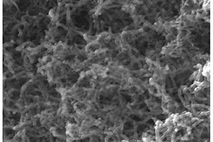 聚苯胺纳米线-氧化石墨烯/石墨烯复合材料及其制备方法和应用