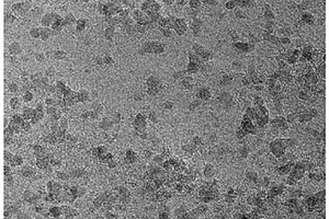 石墨烯-二氧化锡纳米颗粒复合材料的制备方法