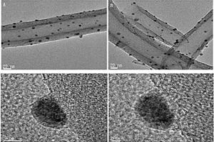 碳纳米管负载银纳米粒子复合材料及其制备方法和应用