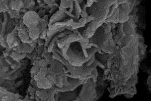 LDH负载纳米零价铁复合材料的制备方法及应用于提取硒/碲