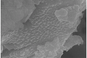 纳米FeS颗粒复合材料及其制备方法与应用