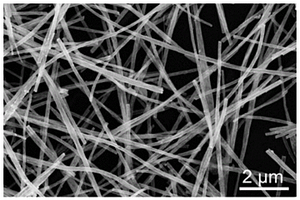 负载3d过渡金属单原子的多孔道氮掺杂的碳纳米纤维复合材料及其制备方法和应用