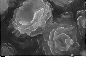 花状氮掺杂碳包覆铋结构复合材料及其制备方法和应用