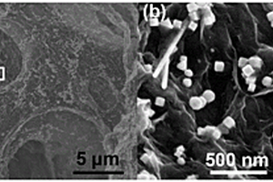多孔石墨烯-银纳米方块复合材料及其制备方法和用途