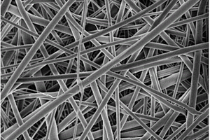 纳米纤维素纤维及其增强复合材料