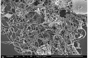 钌掺杂碳纳米管复合材料的制备方法及其在微生物电解池阴极方面的应用