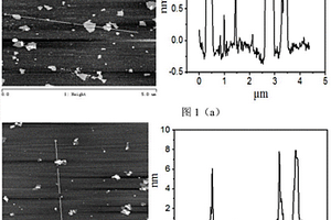 氧化石墨烯-脂质纳米复合材料的制备方法及应用