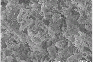 C3N4激发天然矿石负离子发射纳米复合材料制备方法及其产品