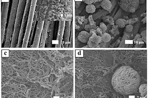 纳米网状和花状结构的柔性导电复合材料及其制备方法和应用