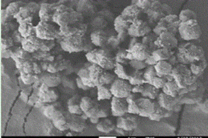 丝光沸石-Beta分子筛-Y分子筛复合材料及合成方法