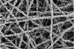 二硫化钨/碳纳米纤维复合材料及其制备方法和用途
