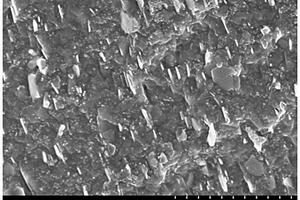 高性能水滑石/二氧化硅/橡胶纳米复合材料的制备方法