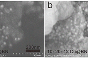 铜纳米颗粒/六方氮化硼复合材料及其制备方法