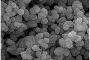碳点复合纳米粒子、碳点/氟化物复合材料、制法及应用