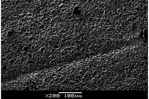 用碳纳米管/聚合物导电复合材料阴极板进行铜电解精炼的方法