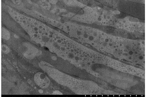 金属氧化物基无机复合材料涂层的制备方法