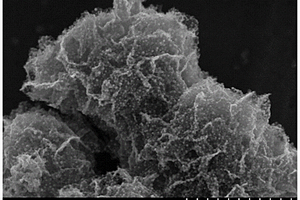 锚定NiPd/Ni的氮掺杂碳纳米片复合材料及其制备方法和应用