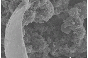 钴/碳纳米管/硫颗粒微胶囊复合材料及其制备方法以及锂硫电池正极及锂硫电池