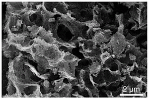 氮磷共掺杂的泡沫状碳纳米片负载NiCo纳米粒子复合材料的制备方法及其产品和应用