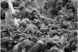 锡/还原氧化石墨烯纳米复合材料的制备方法、锂离子电池负极、锂离子电池