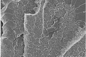 碳纳米管‑蒙脱土自组装纳米粉增韧环氧复合材料的制备方法