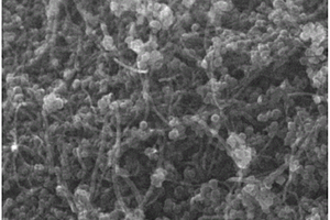 可再生型氨基功能化磁性碳纳米复合材料及其制备方法和应用