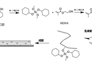 二氧化硅-乙烯基聚合物纳米复合材料及其制备方法和应用