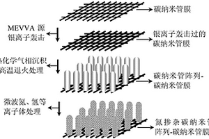 提升碳纳米管阵列-碳纳米管膜柔性复合材料场发射性能的方法