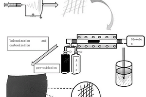 自支撑结构碳纳米纤维复合材料及制备方法与应用