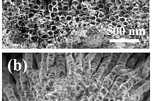 纳米复合材料氧掺杂二硫化钼/二氧化钛纳米管阵列的制备方法及其应用