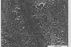 复相TiC-Cr7C3陶瓷颗粒梯度增强钢基复合材料的制备方法