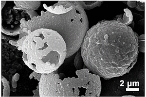 泡沫镍原位生长硫化镍/二硫化钼空心球三维复合材料及其制备方法和应用