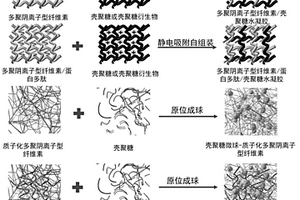 基于多聚阴离子型纤维素的可吸收止血复合材料及其制备方法