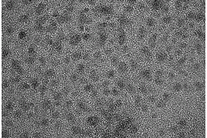 石墨烯负载核壳结构Fe3O4纳米粒子复合材料及其制备方法和应用